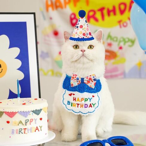 Cat Birthday Party Supplies, Girl Boy Cat Kitten Birthday Bandana Hat Numbers Decorations Outfits Set, Pink in Kuwait