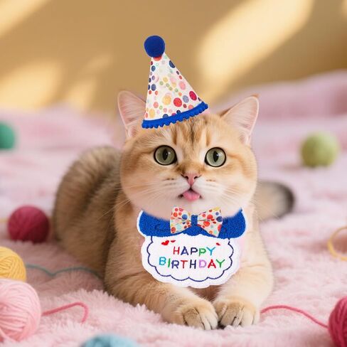 Cat Birthday Party Supplies, Girl Boy Cat Kitten Birthday Bandana Hat Numbers Decorations Outfits Set, Pink in Kuwait