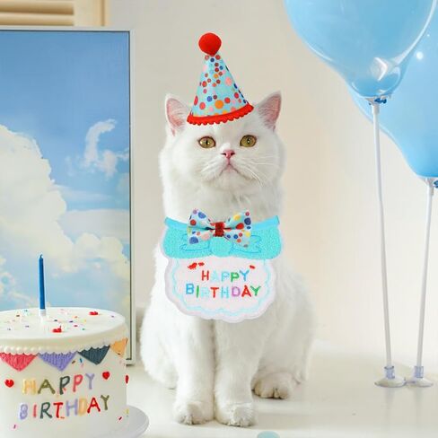 لوازم حفلة عيد ميلاد القط ، بوي بوي كات هريرة عيد ميلاد باندانا أرقام القبعات أرقام الزينة مجموعة ، وردي in Kuwait
