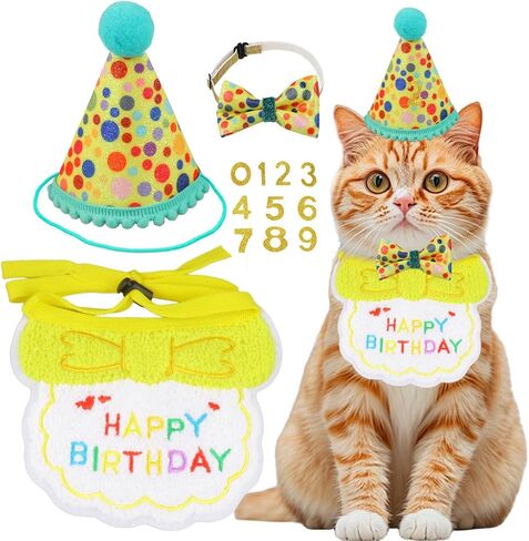 Cat Birthday Party Supplies, Girl Boy Cat Kitten Birthday Bandana Hat Numbers Decorations Outfits Set, Pink in Kuwait