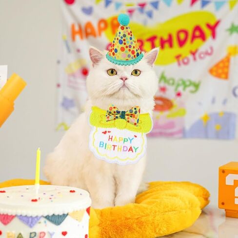 Cat Birthday Party Supplies, Girl Boy Cat Kitten Birthday Bandana Hat Numbers Decorations Outfits Set, Pink in Kuwait