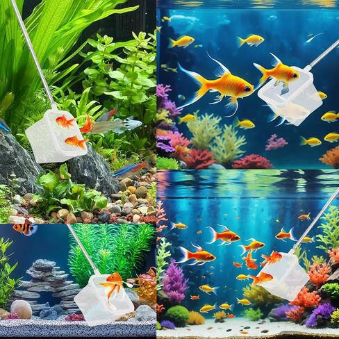 3Pcs Aquarium Fish Net with Extendable Handle, 3.14in Small Fish Tank Net Stainless Steel Fishes Shrimp Skimming Nets for Aquarium Fishes Tank Pond(White) in Saudi Arabia