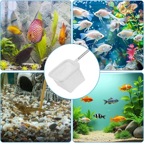 3Pcs Aquarium Fish Net with Extendable Handle, 3.14in Small Fish Tank Net Stainless Steel Fishes Shrimp Skimming Nets for Aquarium Fishes Tank Pond(White) in Saudi Arabia