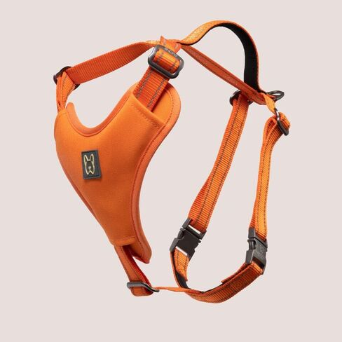 NANDOG Neoprene Sport Dog Harness (Small, Blue) in Saudi Arabia