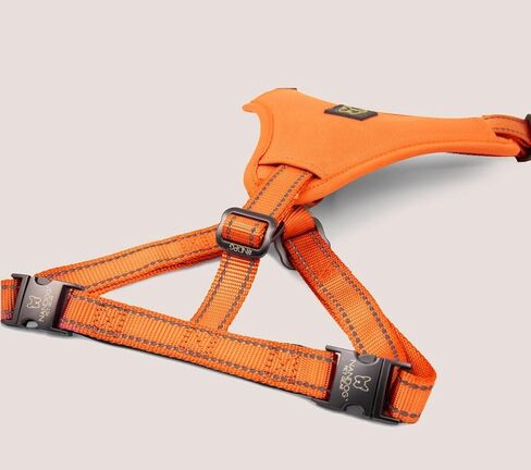 NANDOG Neoprene Sport Dog Harness (Small, Blue) in Saudi Arabia