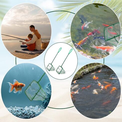2 PCS Aquarium Fish Net for Fish Tank Net Net Gine Catch Catch-Net مع مقبض بلاستيكي طويل ، أخضر ، 3 بوصة in Kuwait