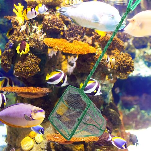 2 PCS Aquarium Fish Net for Fish Tank Net Net Gine Catch Catch-Net مع مقبض بلاستيكي طويل ، أخضر ، 3 بوصة in Kuwait