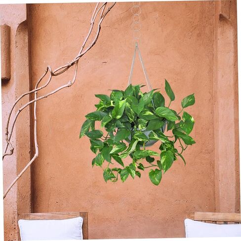 Housoutil 20pcs Metal Craft Hoops Dreamcatcher Rings for DIY Wall Hanging Macrame Projects and Home Decor Versatile and Frame in Saudi Arabia