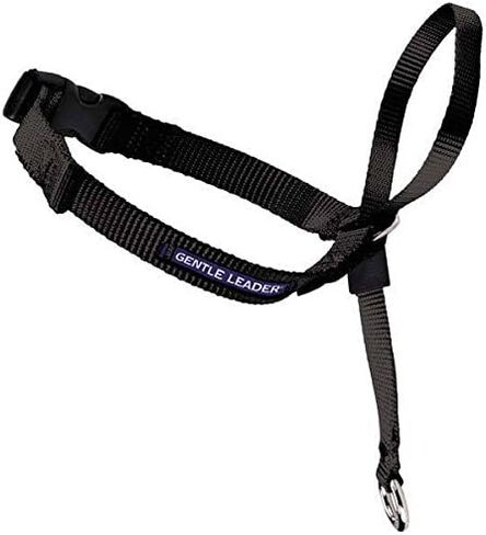 Dog Training Headcollars Safely Teach Your Pup to Walk Straight(Large Headcollar Black) in Saudi Arabia