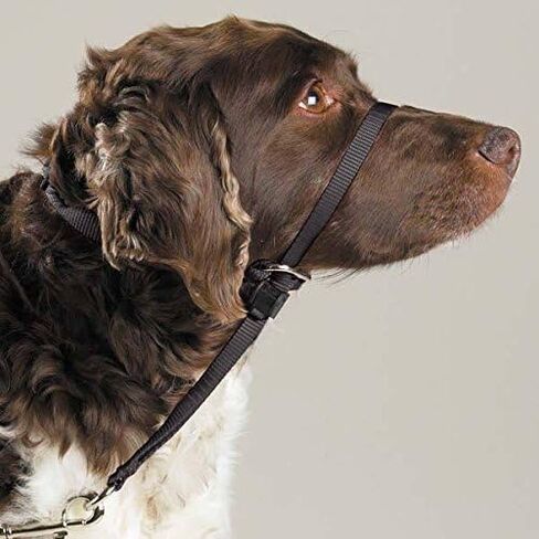 تدريب الكلاب headcollars بأمان تعليم الجرو الخاص بك للمشي مباشرة (أسود متوسطة) in Saudi Arabia
