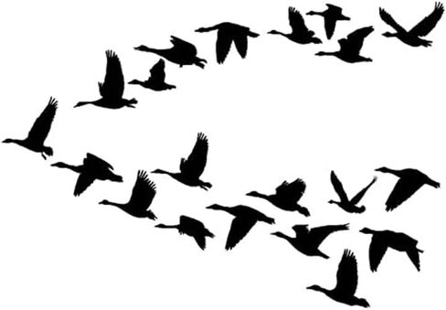 Geese Flying Wall Decal Bird Flying Room Decor Water Fowl College Dorm Room Removable Vinyl Sticker Home Office Decoration Living Room Den (18 X 25 inches) in Saudi Arabia