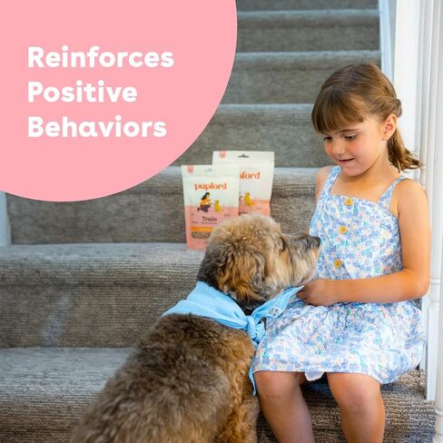 Pupford Soft & Chewy Training Treats for Dogs & Puppies (الدجاج ، 5 أوقية) in Kuwait