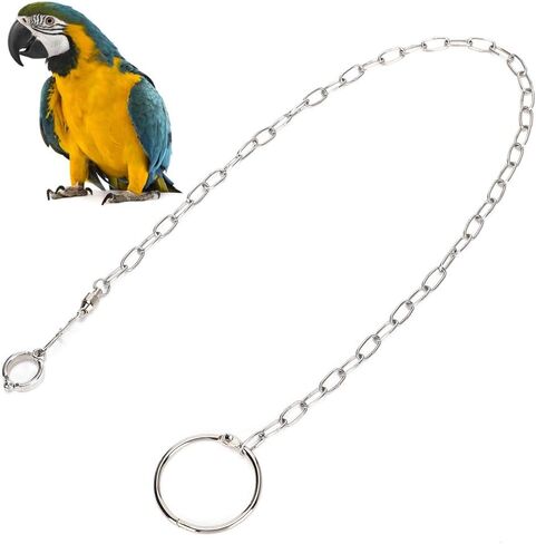 Parrot Foot Chain Bird Leg Leash Stainless Steel Split Anklet Ring for Small Birds Parrots Pet Training in Saudi Arabia