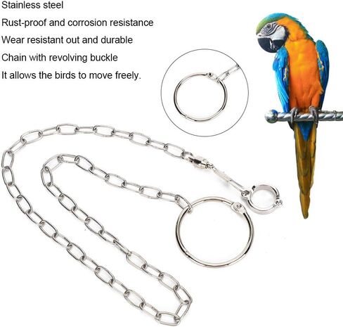 Parrot Foot Chain Bird Leg Leash Stainless Steel Split Anklet Ring for Small Birds Parrots Pet Training in Saudi Arabia