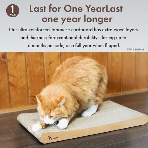 [ Minimal Debris | Long-Lasting (1 Year) | Made in Japan ] nyans Cat Scratcher [ Cat Scratcher, Double-Sided, Heavy-Duty Corrugated Cardboard, Popular ] Standard M Size nyans in Saudi Arabia