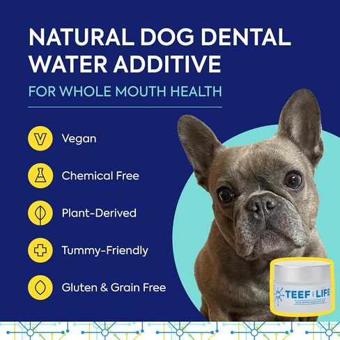 TEEF FOR LIFE Refill Packets Protektin42 Prebiotic Dental Powder for Dogs, Plant-derived, clinically-Proven Formula Naturally Fights Bad Breath, Plaque, and Tartar, 1 Packet with 30 Servings in Kuwait