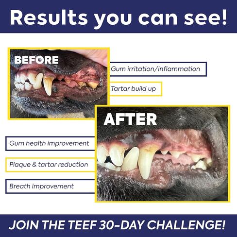 TEEF FOR LIFE Refill Packets Protektin42 Prebiotic Dental Powder for Dogs, Plant-derived, clinically-Proven Formula Naturally Fights Bad Breath, Plaque, and Tartar, 1 Packet with 30 Servings in Kuwait