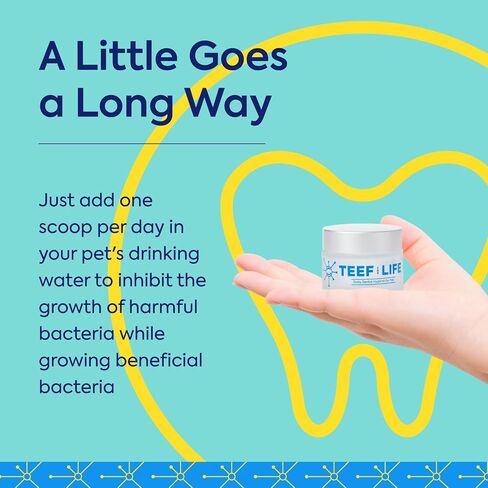 TEEF FOR LIFE Refill Packets Protektin42 Prebiotic Dental Powder for Dogs, Plant-derived, clinically-Proven Formula Naturally Fights Bad Breath, Plaque, and Tartar, 1 Packet with 30 Servings in Kuwait
