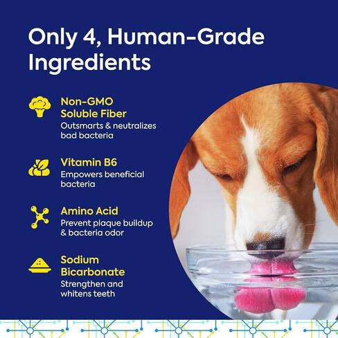 TEEF FOR LIFE Refill Packets Protektin42 Prebiotic Dental Powder for Dogs, Plant-derived, clinically-Proven Formula Naturally Fights Bad Breath, Plaque, and Tartar, 1 Packet with 30 Servings in Kuwait