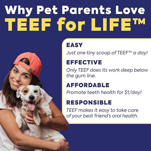 TEEF FOR LIFE Refill Packets Protektin42 Prebiotic Dental Powder for Dogs, Plant-derived, clinically-Proven Formula Naturally Fights Bad Breath, Plaque, and Tartar, 1 Packet with 30 Servings in Kuwait