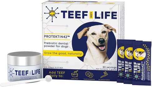 TEEF FOR LIFE Refill Packets Protektin42 Prebiotic Dental Powder for Dogs, Plant-derived, clinically-Proven Formula Naturally Fights Bad Breath, Plaque, and Tartar, 1 Packet with 30 Servings in Kuwait