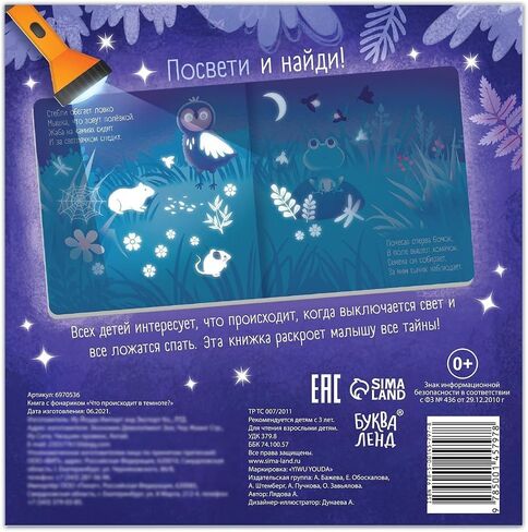 كتاب باللغة الروسية مع مصباح يدوي ما يحدث في الظلام ، 24 pgs - كتب الطاولة باللغة الروسية - اقرأ الكتب الروسية - تعلم اللغة الروسية in Saudi Arabia