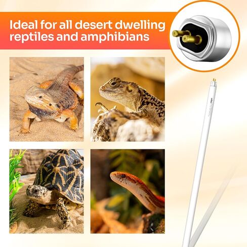 Oiibo T5 HO 10.0 UVB Lamp Bulb 22" L 24 Watts, Reptile UVB Lamp Tube for Bearded Dragon in Kuwait