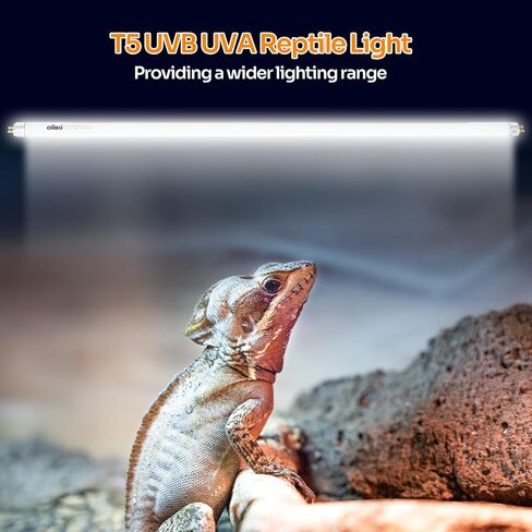 Oiibo T5 HO 10.0 UVB Lamp Bulb 22" L 24 Watts, Reptile UVB Lamp Tube for Bearded Dragon in Kuwait