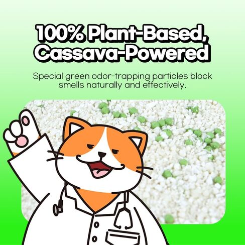 فضلات Cassava Cat ، 100 ٪ من الصديق الطبيعي للبيئة ، القطط والقطط الحساسة ، قابلة للخلط مع الطين والقمامة المختلفة ، وتوفير الاستخدام ، والتكتل الفائق غير القصوى ، لا رائحة ، لا غبار ، لا فوضى (5.7 رطل × 4pack) in Kuwait