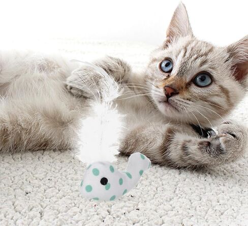 ألعاب Aboofan 4pcs Cat Bearing for Kittens Plush Cat Cat Chew Interactive Toys للقطط الداخلية الداخلية in Saudi Arabia