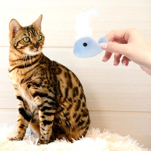 ألعاب Aboofan 4pcs Cat Bearing for Kittens Plush Cat Cat Chew Interactive Toys للقطط الداخلية الداخلية in Saudi Arabia
