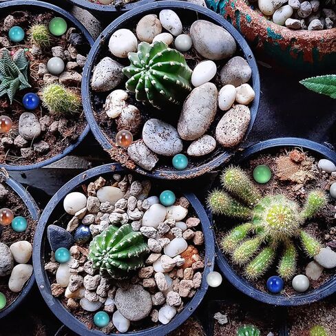 30pcs الرخام الزجاجية الملونة لزخارف السمك كرات نباتية فريدة من نوعها ملمس سلس آمن لزينة المنزل ولون اللعب العشوائي in Kuwait