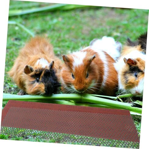 POPETPOP Mini Hedgehog Exercise Wheel Trimmer Set Textured Nail Trimming Track Self-Cleaning Running Track Metal Design for Hedgehogs and Small Pets in Saudi Arabia