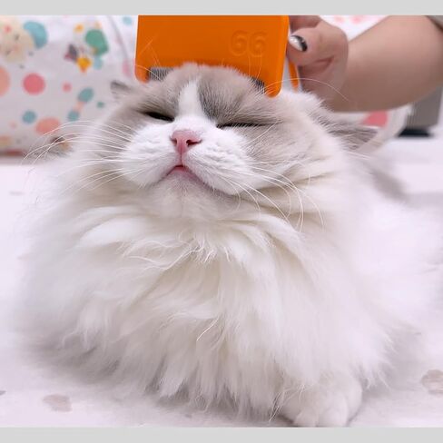 PETVITA Self Cleaning Deshedding Brush - Smart Grooming Tool with Stainless Steel Blade for Small Pets & Short Hair in Saudi Arabia