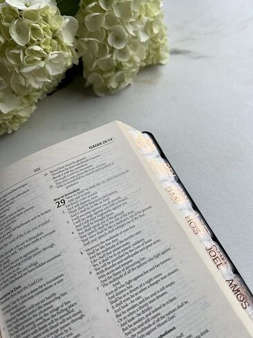 Rose gold clear bible tabs Old Testament New Testament 66 bible tabs christian bible tabs bible journaling bible study supplies (English) in Saudi Arabia