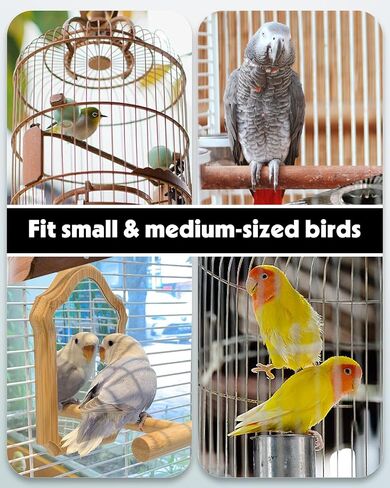 Pawfly 4 pcs موزع مياه الطيور ، إكسسوارات القفص للبغاء والهامستر ، تغذية الطيور للقطف ، وميت أبيض وأزرق للبطيء الصغير Cockatiel Budgie Lovebirds in Saudi Arabia