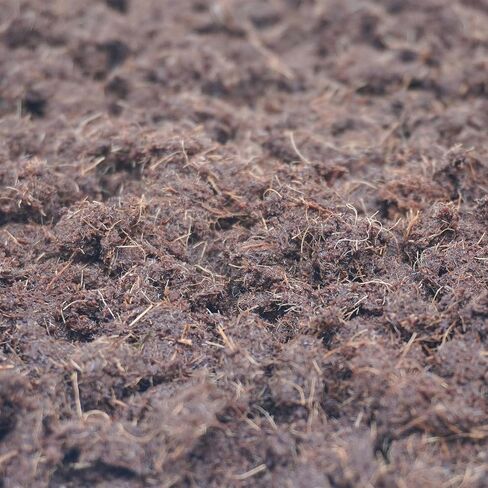 15oz Coco Coir Brick for Hermit Crab, Great Coconut Fiber for Sand Blends, Hermit Crab Accessories in Saudi Arabia