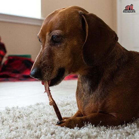 Redbarn Bully Slims 4.7 oz Natural Beef Esophagus Dog Treats - Rawhide Free Chews for Small Dogs, Puppies & Senior Dogs - Single Protein Digestible Dental Chew Sticks in Kuwait