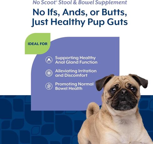 NaturVet No Scoot Stool and Bowel Supplement for Dogs - 120 Soft Chews in Kuwait