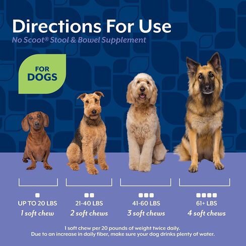NaturVet No Scoot Stool and Bowel Supplement for Dogs - 120 Soft Chews in Kuwait