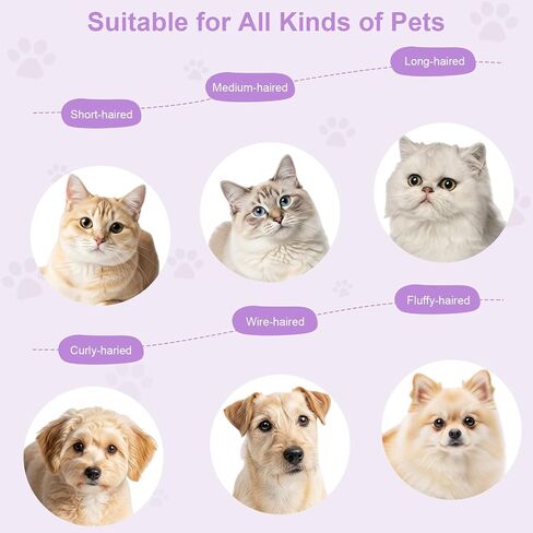Rechargeable Cat Steam Brush with Mist Spray, 3-in-1 Pet Steam Brush for Long and Short Haired Cats and Small Dogs, Anti-Static, De-Shedding, Detangling, Massage, Purple Cat Design in Saudi Arabia
