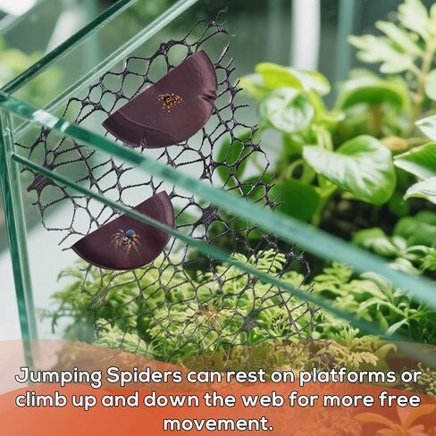 BOXOB 5pcs Jumping Spider Enclosure Accessories Mushroom, Spider Mushroom Jumping Web Set with Magnet for Spiders, Mantises, Wolf Spiders and Other Pets in Saudi Arabia