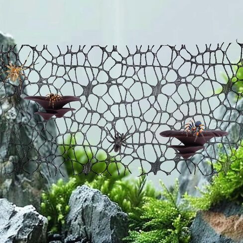 BOXOB 5pcs Jumping Spider Enclosure Accessories Mushroom, Spider Mushroom Jumping Web Set with Magnet for Spiders, Mantises, Wolf Spiders and Other Pets in Saudi Arabia