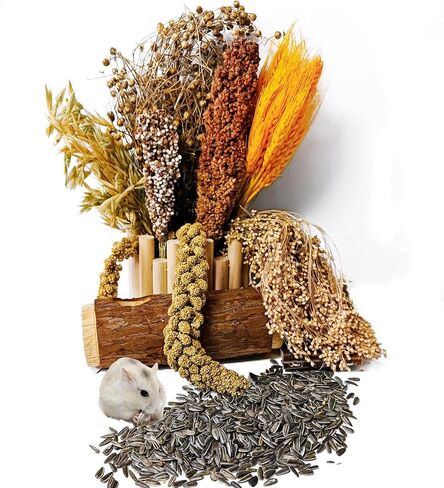 Natural Hamster Flower & Herb Habitat Deocr, Hamster Sprays Herbs Bedding Mate, Hamsters Cage Enrichment Decoration Accessories for Gerbil Dwarf Syrian Hamsters Guinea Pig Mice or Small Animals in Saudi Arabia
