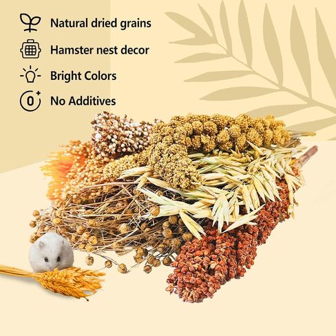 Natural Hamster Flower & Herb Habitat Deocr, Hamster Sprays Herbs Bedding Mate, Hamsters Cage Enrichment Decoration Accessories for Gerbil Dwarf Syrian Hamsters Guinea Pig Mice or Small Animals in Saudi Arabia