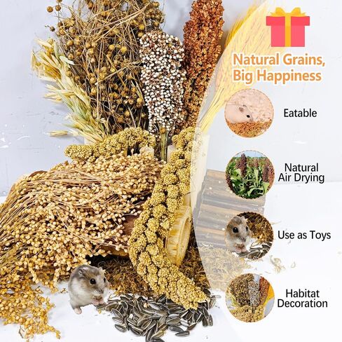 Natural Hamster Flower & Herb Habitat Deocr, Hamster Sprays Herbs Bedding Mate, Hamsters Cage Enrichment Decoration Accessories for Gerbil Dwarf Syrian Hamsters Guinea Pig Mice or Small Animals in Saudi Arabia