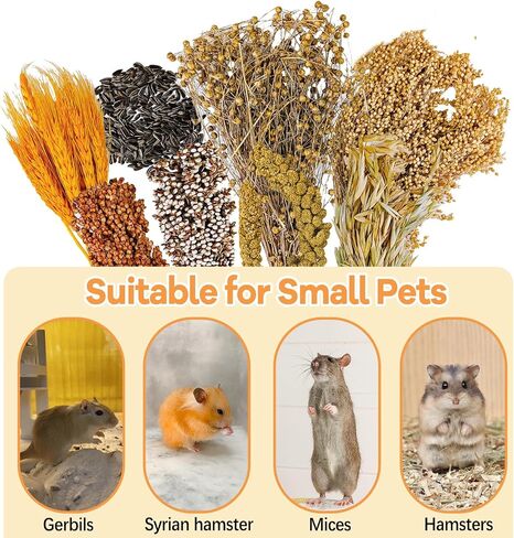 Natural Hamster Flower & Herb Habitat Deocr, Hamster Sprays Herbs Bedding Mate, Hamsters Cage Enrichment Decoration Accessories for Gerbil Dwarf Syrian Hamsters Guinea Pig Mice or Small Animals in Saudi Arabia