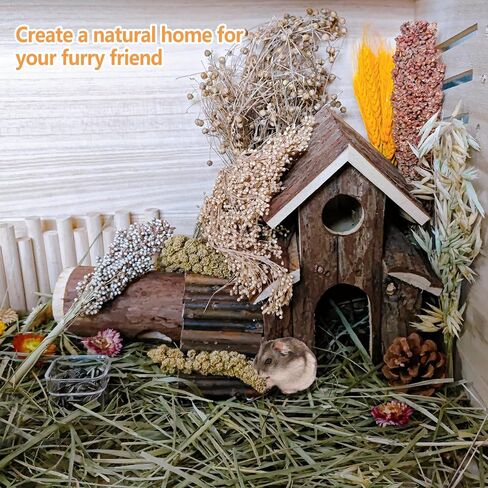 Natural Hamster Flower & Herb Habitat Deocr, Hamster Sprays Herbs Bedding Mate, Hamsters Cage Enrichment Decoration Accessories for Gerbil Dwarf Syrian Hamsters Guinea Pig Mice or Small Animals in Saudi Arabia