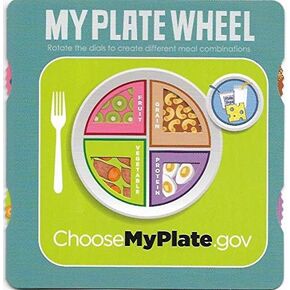 MyPlate Meal-Wheel in Saudi Arabia