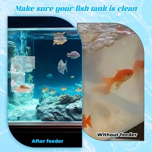 Fish Tank Feeding Tray for Fish Aquarium Feeding Dish Fishes Feeder Fishes Tank Dish with Suction Cup 3.9x2.4 Inch Feeding-Tube Ring Container Holder Dispenser for Turtle Shrimp in Kuwait